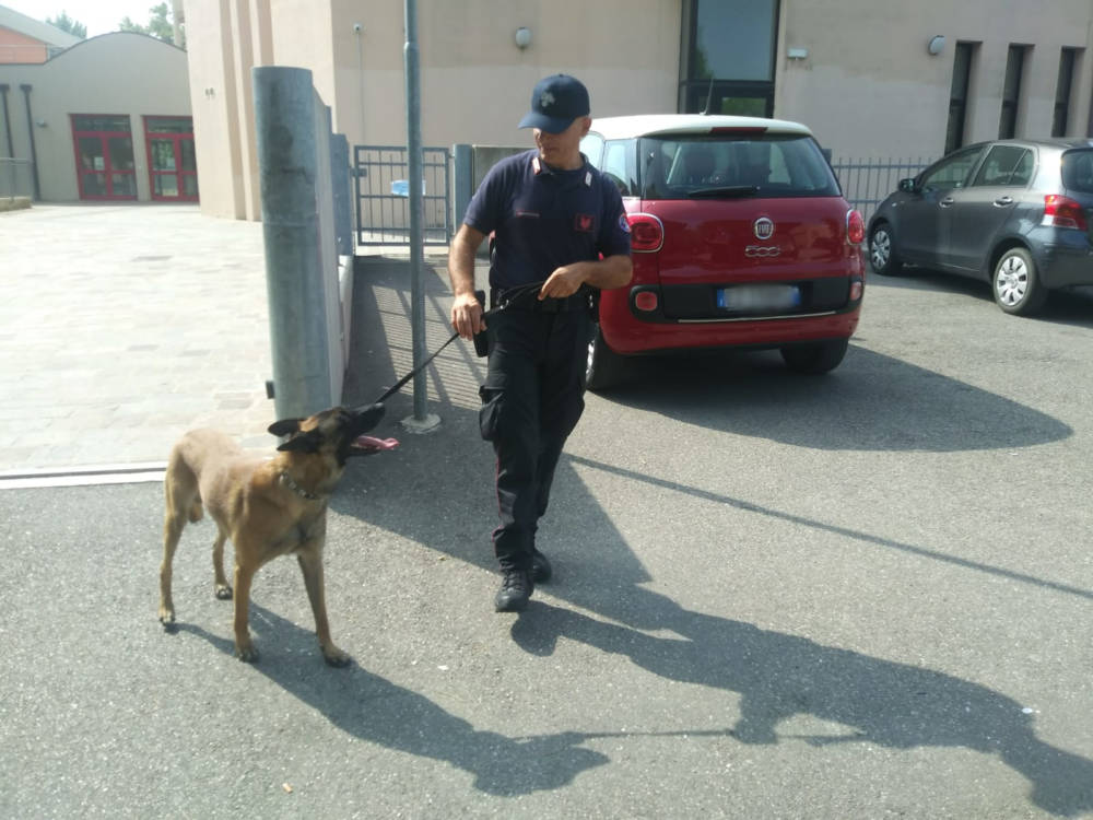 carabinieri cani antidroga