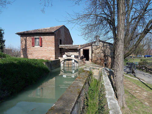 54prima mulino scodellino