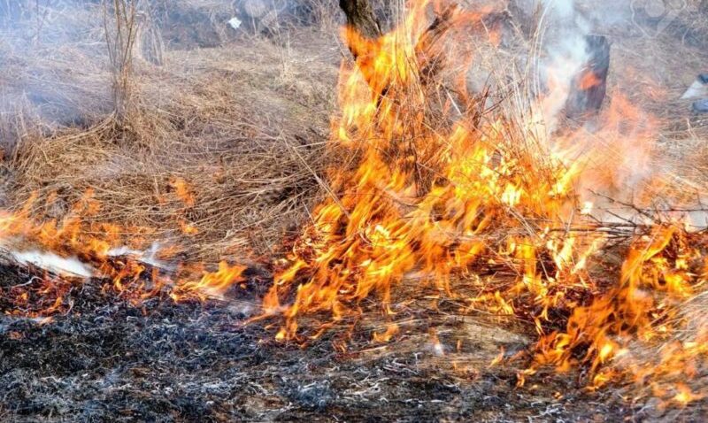 Incendio-binari-imola