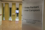 MERCATONE TORRE E MUSEO PANTANI (5)